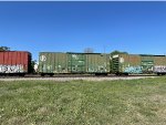 IBT 18507